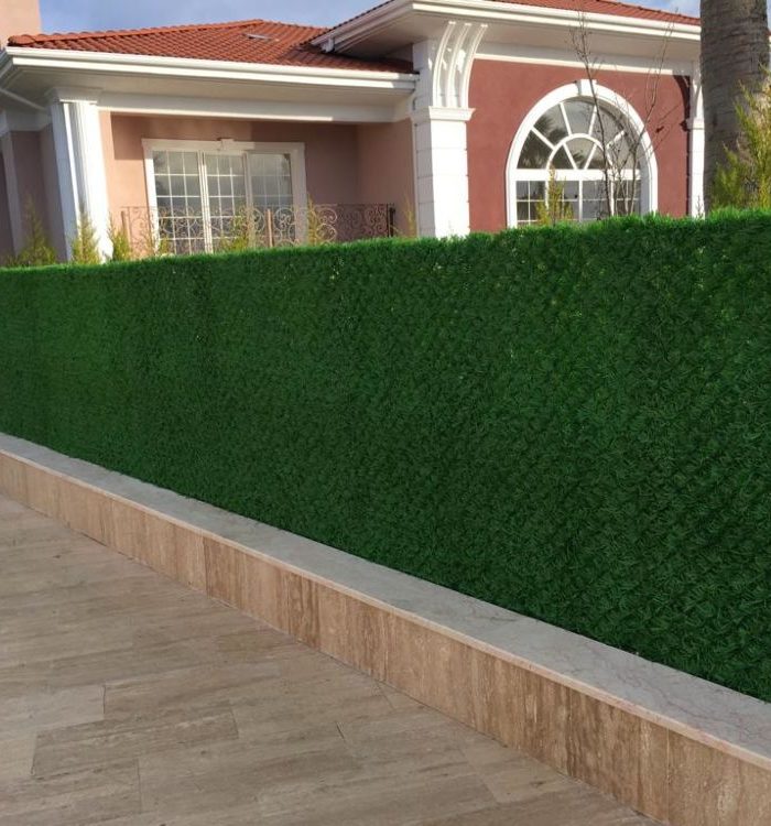 Clôture D’herbe-4